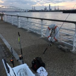 今朝はシブいです