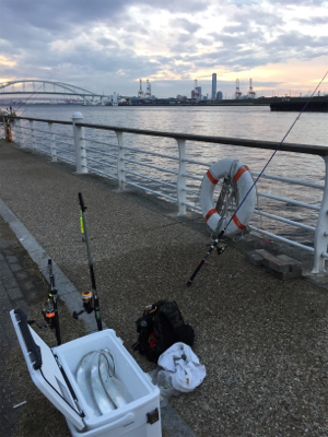 今朝はシブいです