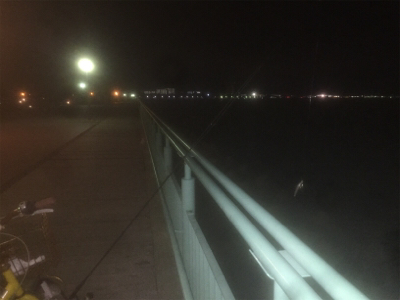 タチウオ&メバリングの2ラウンド