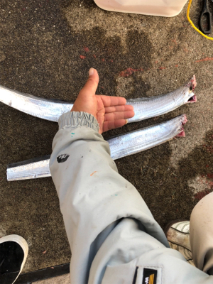 親父たちの釣行 大阪湾編