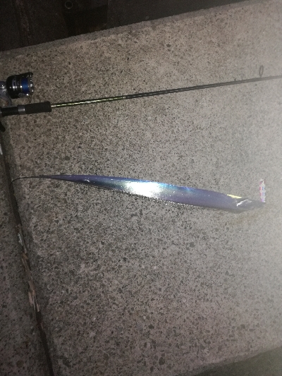 タチウオ釣り大人気！