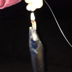 場所ムラ激しすぎ〜