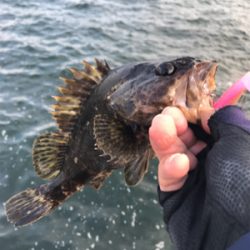 ジグで釣れない(汗)