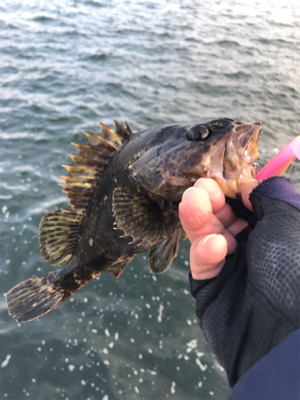 ジグで釣れない(汗)