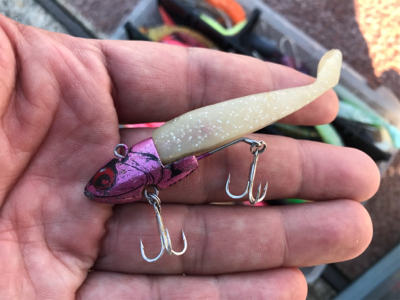 渋太刀&ノー青もノー