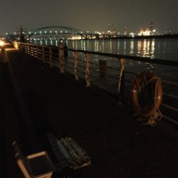 干潮までの短時間釣行