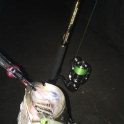 雨後はやっぱり