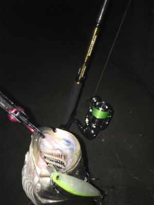 雨後はやっぱり