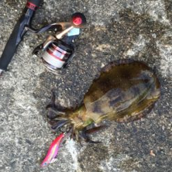 まだまだ修行中です