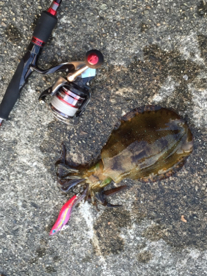 まだまだ修行中です