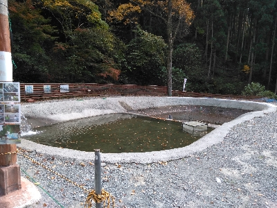 楽水フィッシングセンター