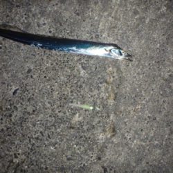 セットアッパー散る…