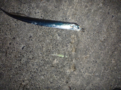 セットアッパー散る…