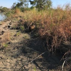 厳しいかった。。