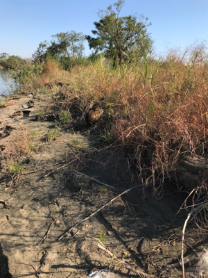 厳しいかった。。