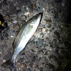 仕事終わりにライトゲーム