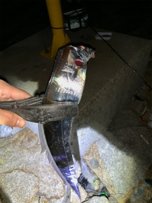 ワインドで2.エサは0