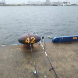 活性は高くない