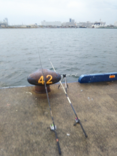 活性は高くない