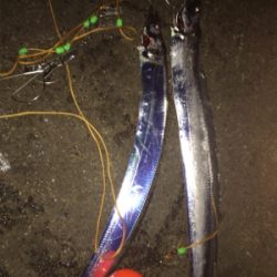 タチウオパラパラ