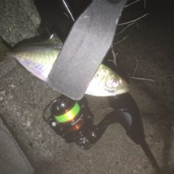 何とかかんとか