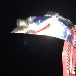 決めてなくダラダラ…