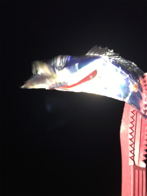 決めてなくダラダラ…