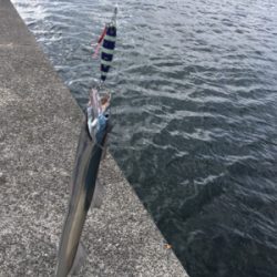 早朝ショアジギング