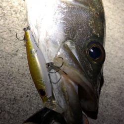 サッパパターン！