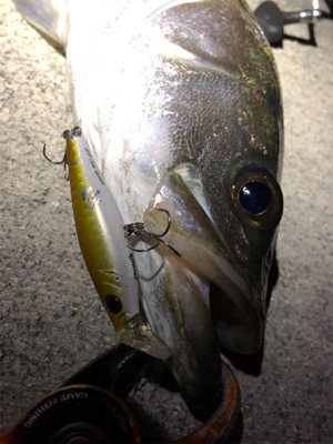 サッパパターン！