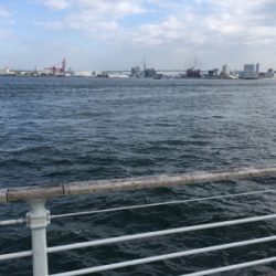 コスモでサゴシ(^^)