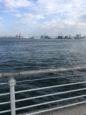 コスモでサゴシ(^^)