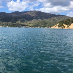 エサ、ショアジギ（╹◡╹）