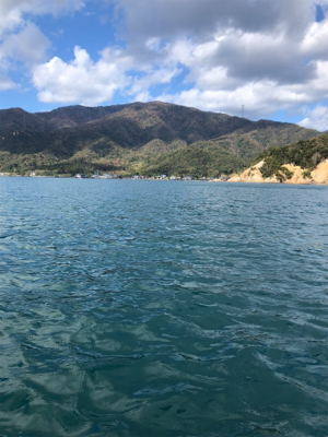 エサ、ショアジギ（╹◡╹）