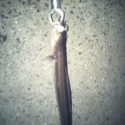 ゆったりゆっくり飲みながら