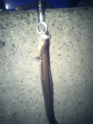 ゆったりゆっくり飲みながら