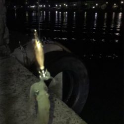 瀑釣？と思ったのもつかのま…