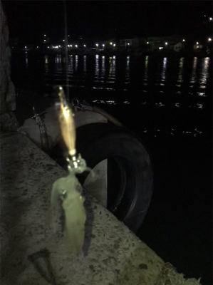 瀑釣？と思ったのもつかのま…