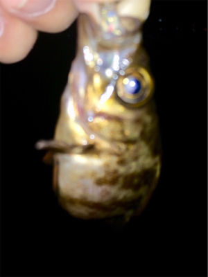 メバリンガー1800〜1920