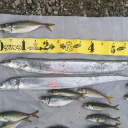 ナイトアジング/サーベリング☆GUNNING-STYLE