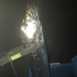 タチウオウキ釣り