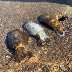 行ったことないところ