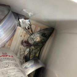 良いのか？悪いのか？