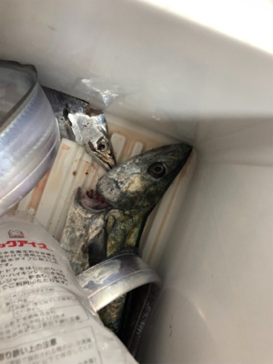 良いのか？悪いのか？