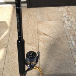 船長情報無視の結果…