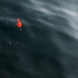 久しぶりの遠投サビキ