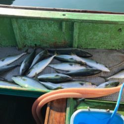 孝洋丸 落とし込み