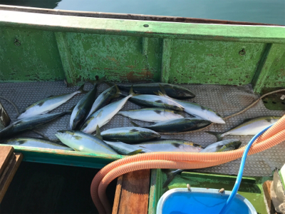 孝洋丸 落とし込み