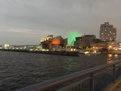 天保山・シーサイドコスモ タチウオ