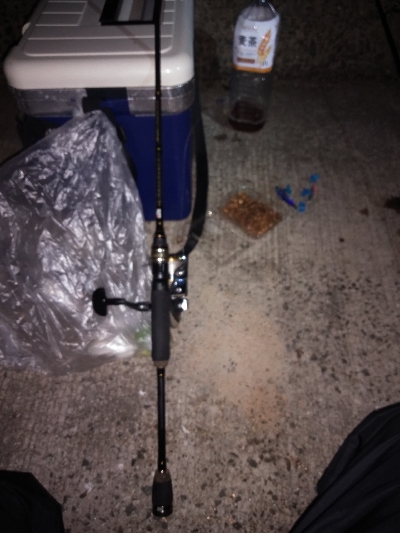 久し振りの妻鹿漁港